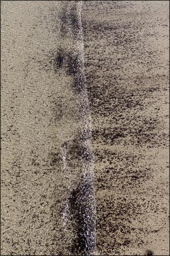 Seaweed on the Waterline.jpg