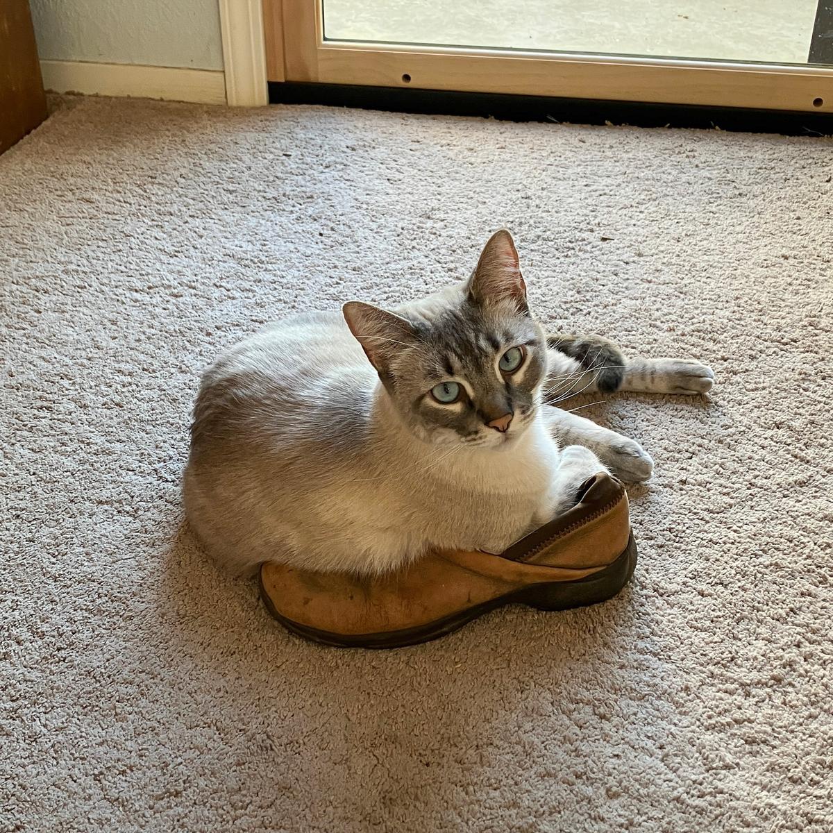 arni's shoe-1.JPG