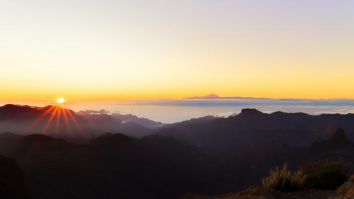 _D7A0552_1.jpg