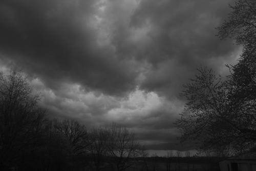 IMG_2495.jpg