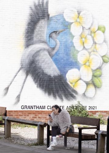 Bird and a bird.jpg