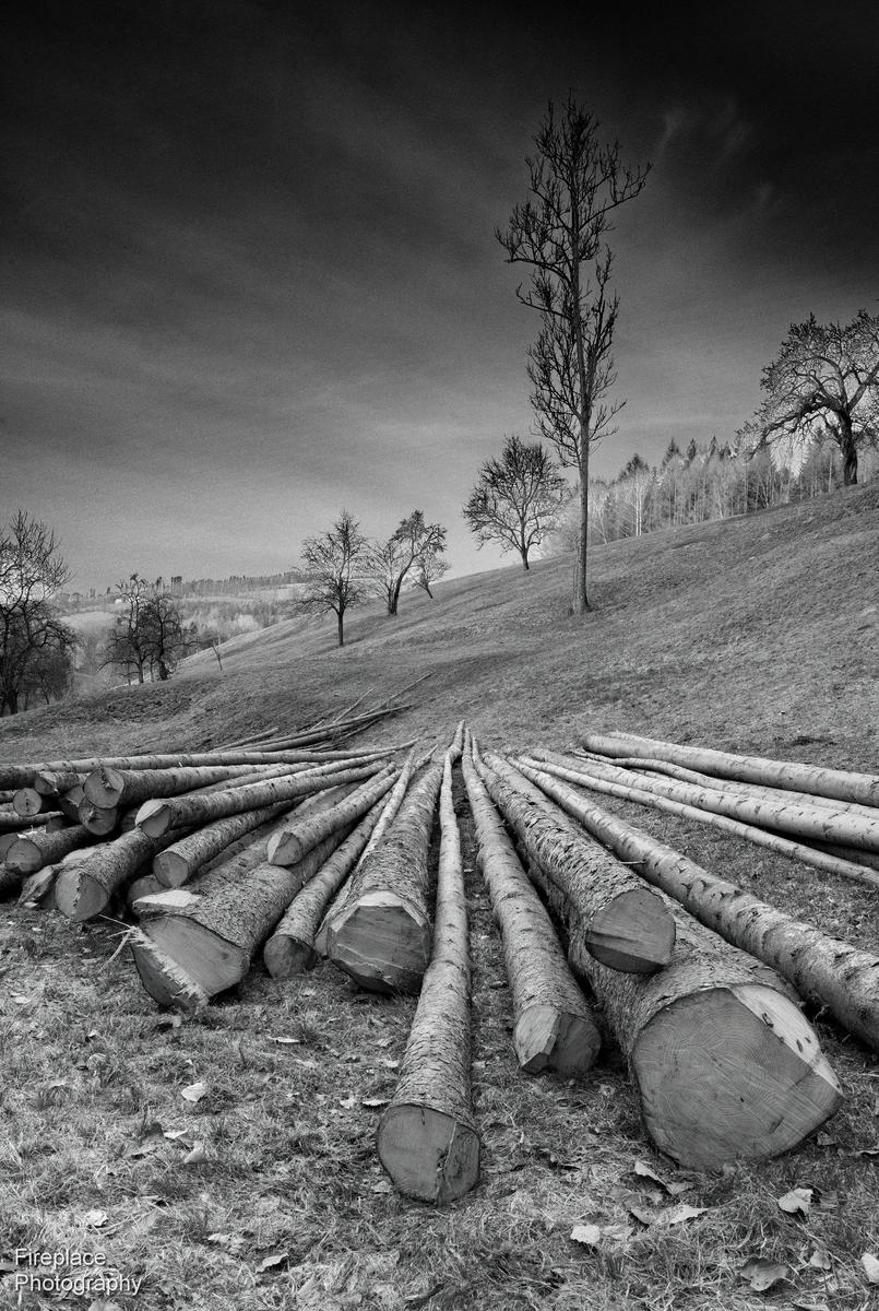 DSC_2636 - B&W smaller.JPG
