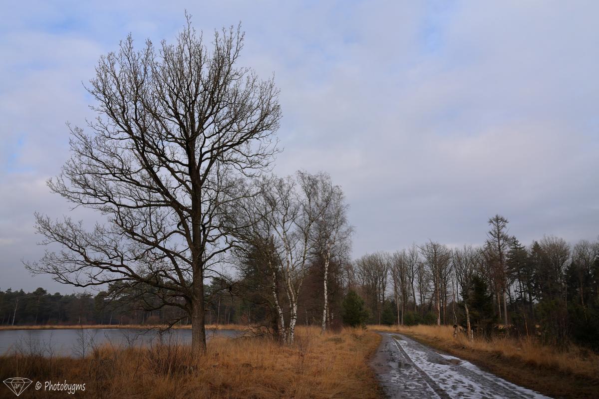 62A_7404.jpg