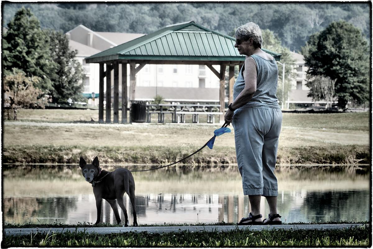 A day at the park.jpg