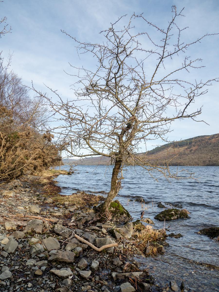 P2176167.jpg