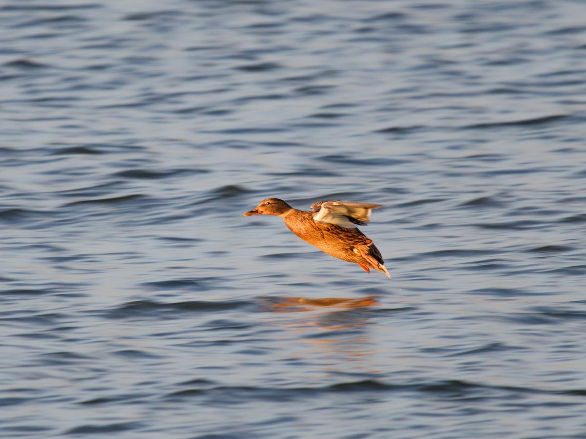 PB221395_DxO.jpg