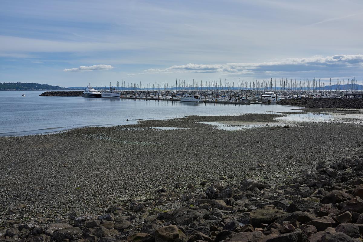 elliott-bay-marina-small.jpg