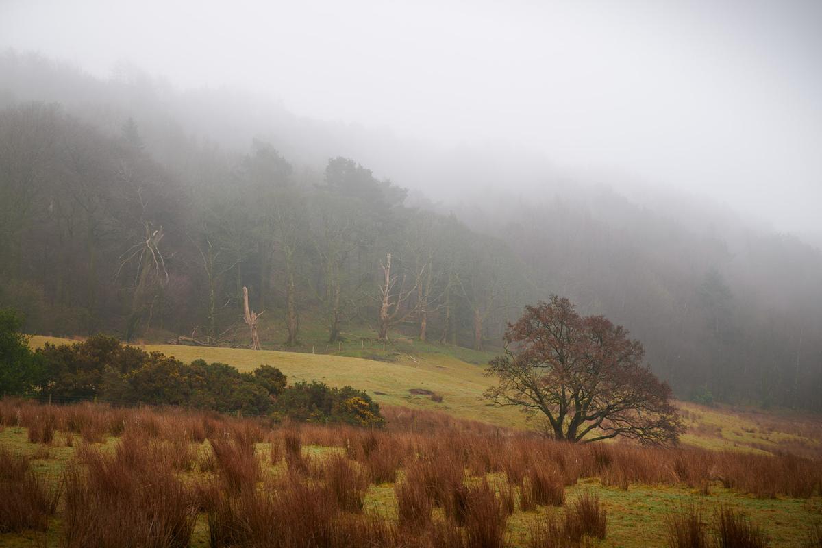 DSC_2927.jpg
