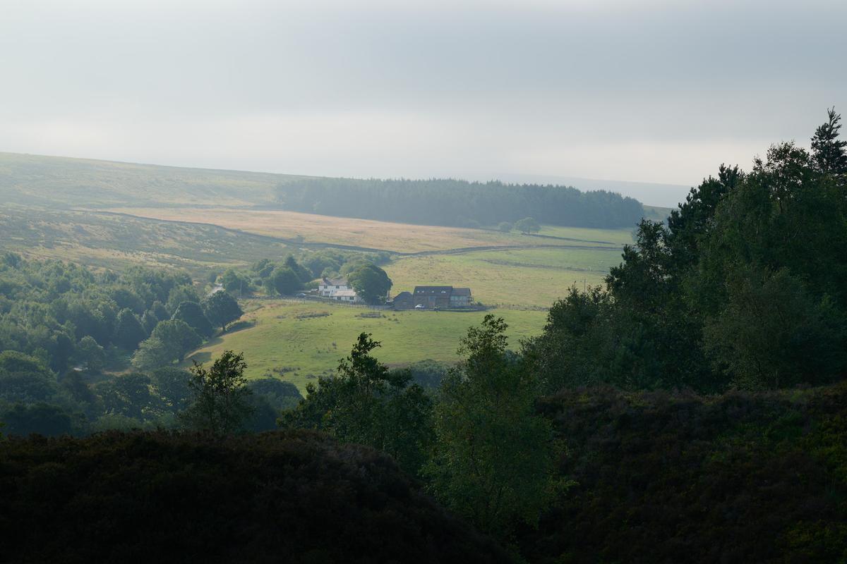 DSC_6925.jpg