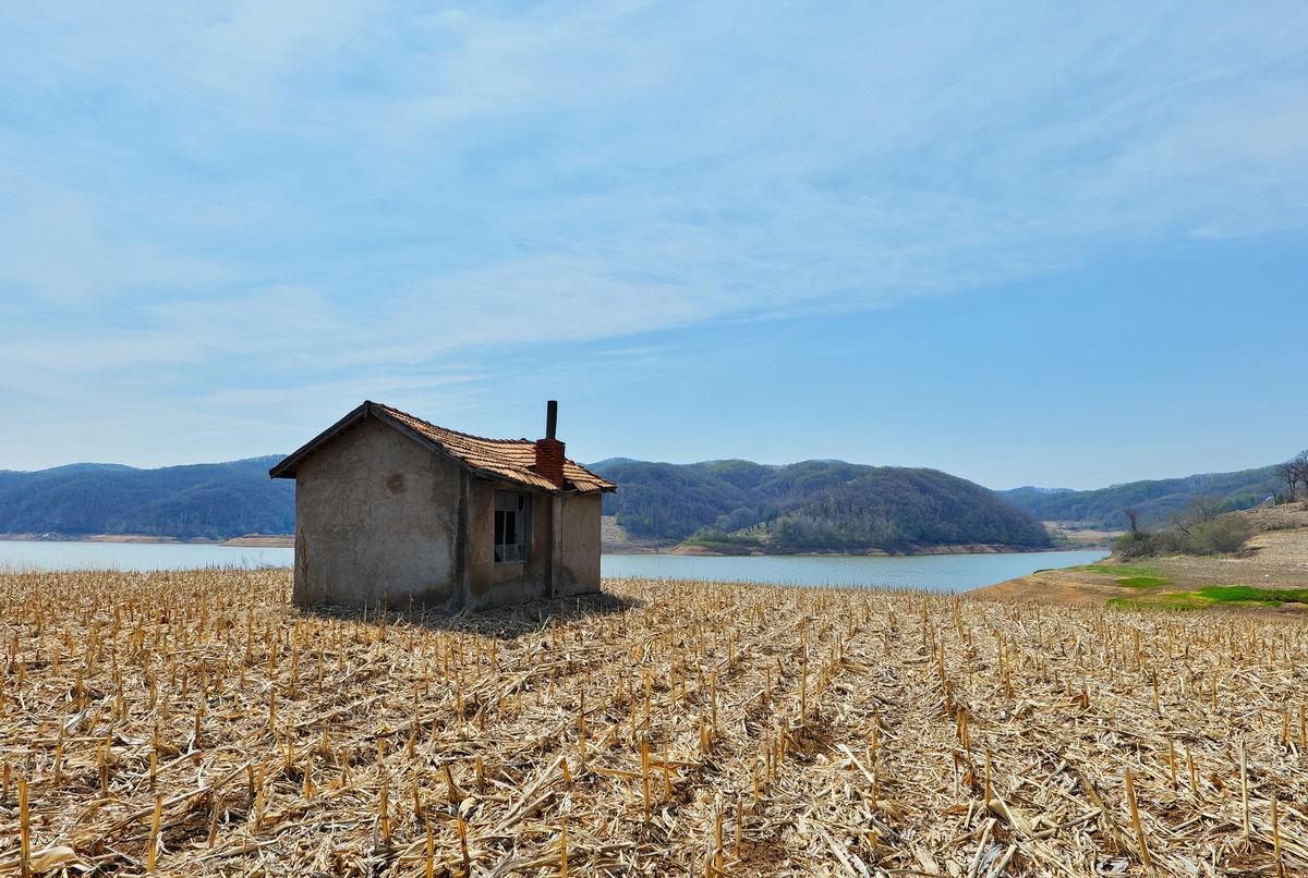 250429-p1026186 -edit.JPG