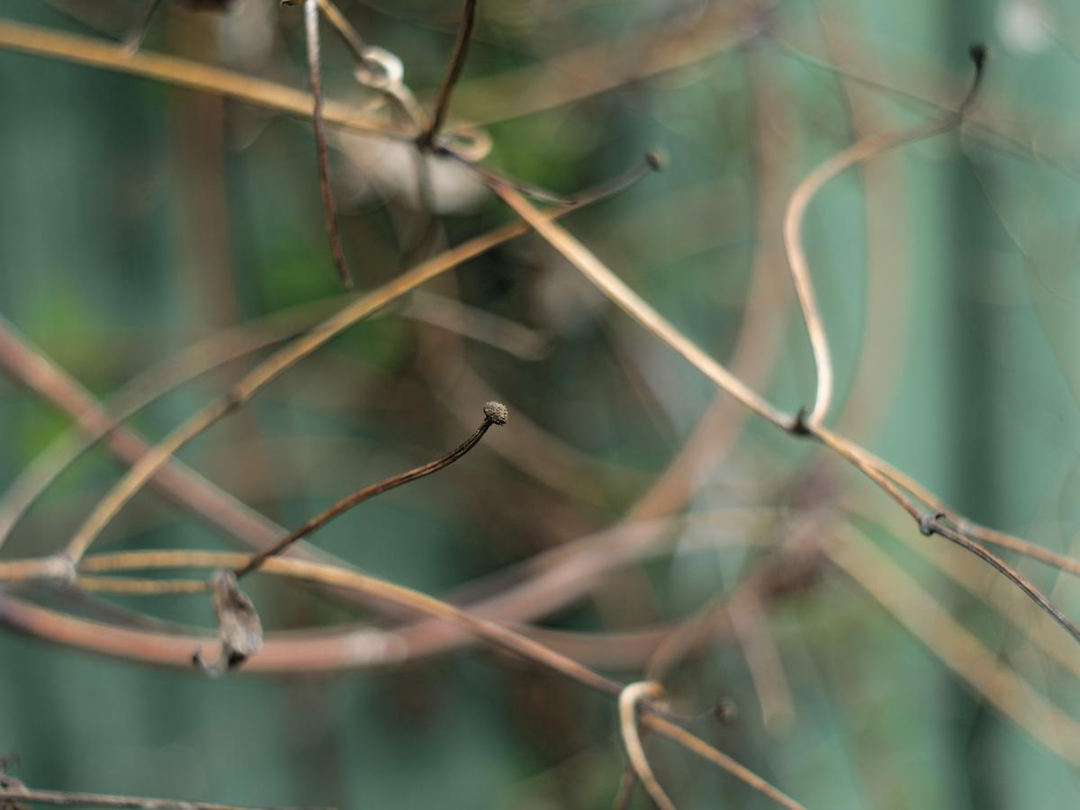 P5050029_DxO-E.jpg