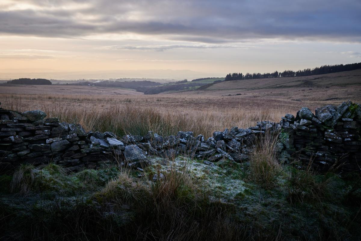 DSC_1207.jpg