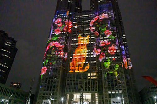Tokyo laser show 20250329 - 21.jpg