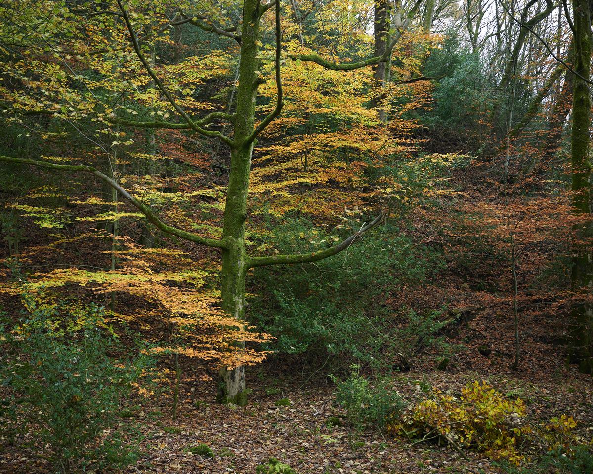 DSC_8889.jpg