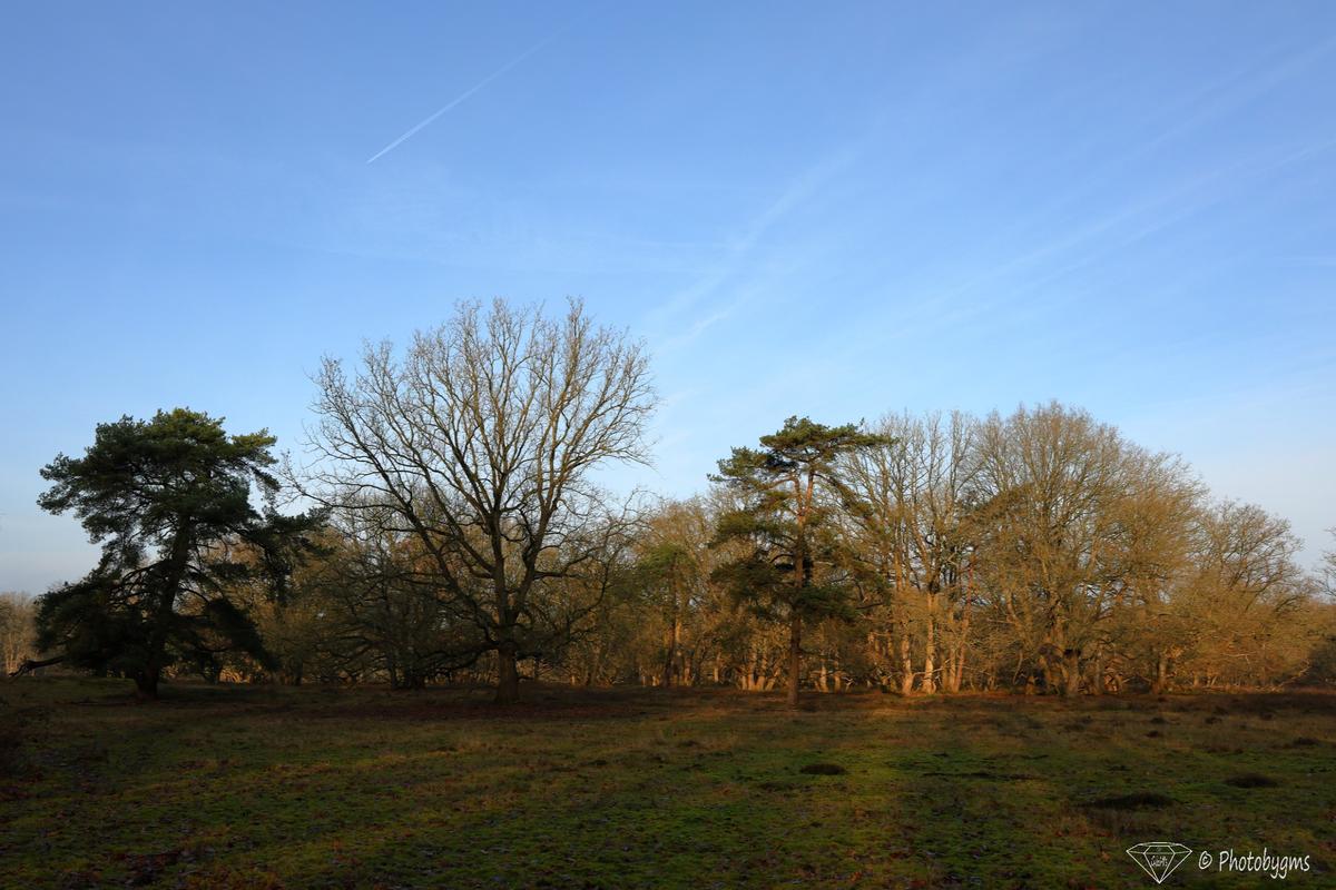 62B_6685.jpg