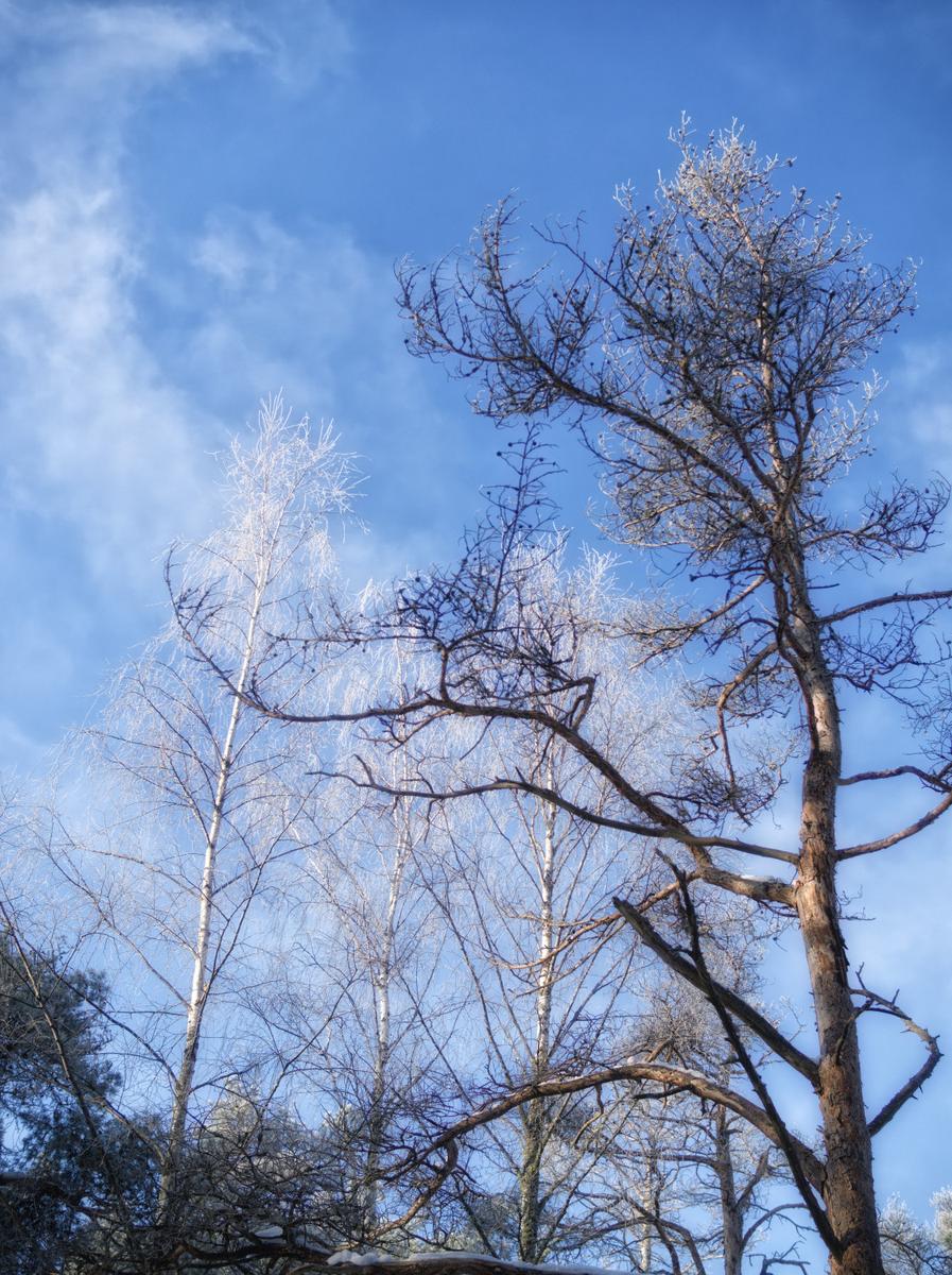 P2070027_Nik_DxO.jpg