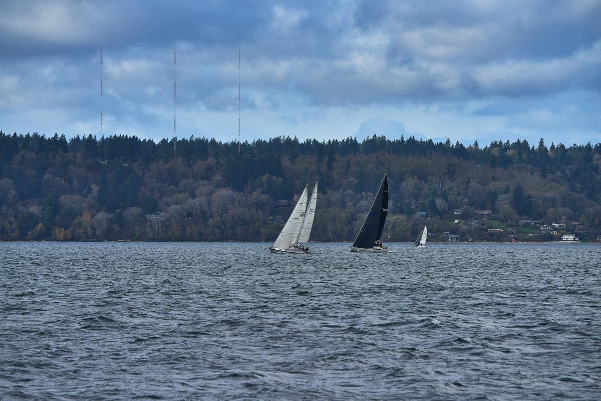 sailboats-13-small.jpg