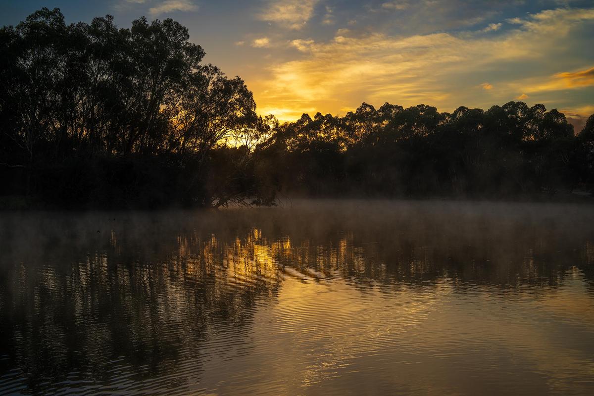 _7RV7623_Laratinga Wetlands.jpg