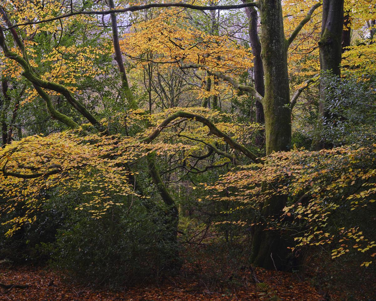DSCF3620.jpg