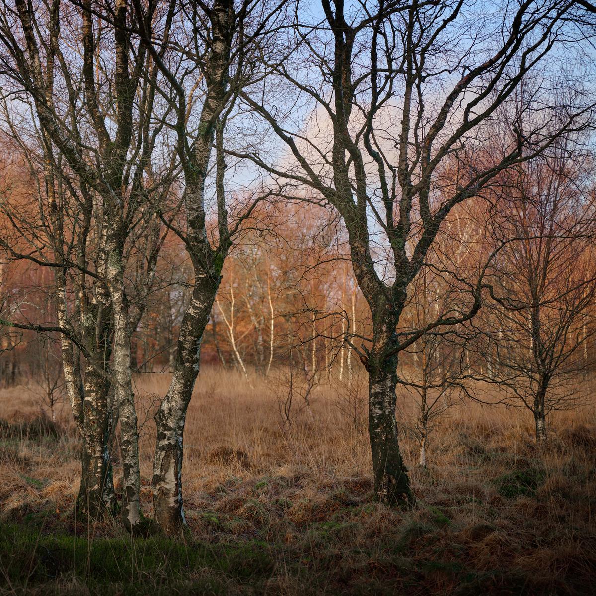 DSC_0172.jpg