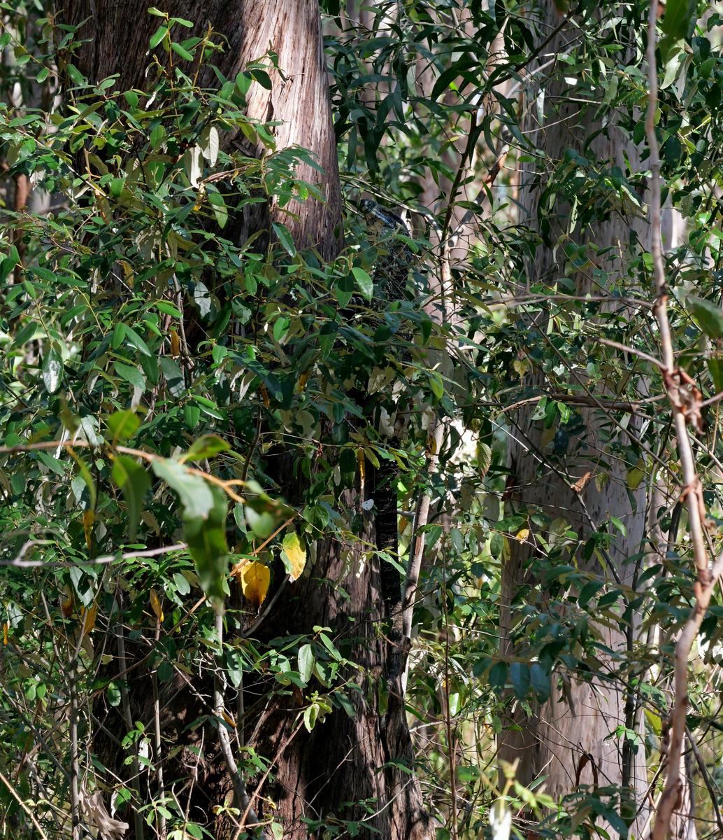 P1144997a.JPG