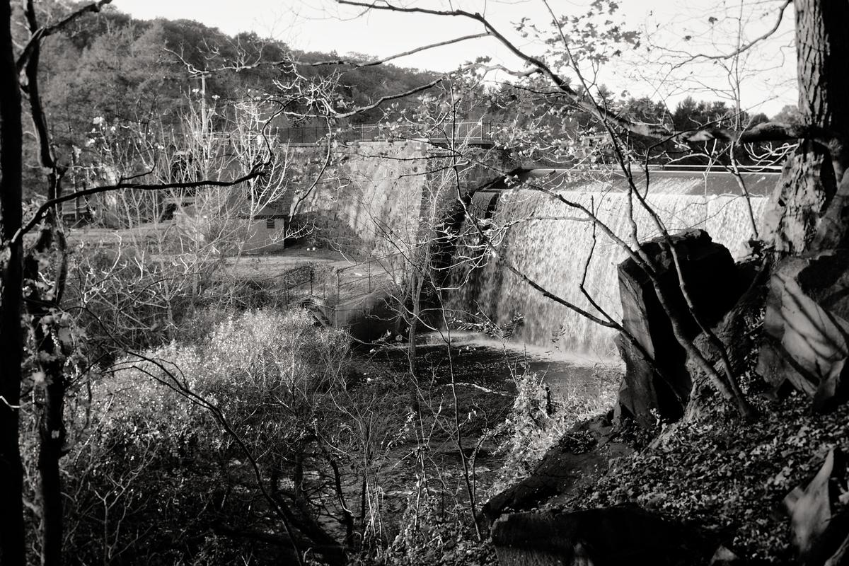 editme67_DxO_2.jpg