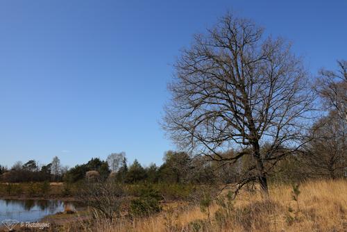 62A_1573.jpg