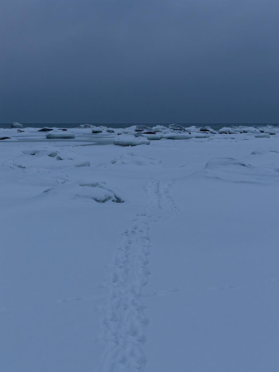 P1177167_DxO.jpg