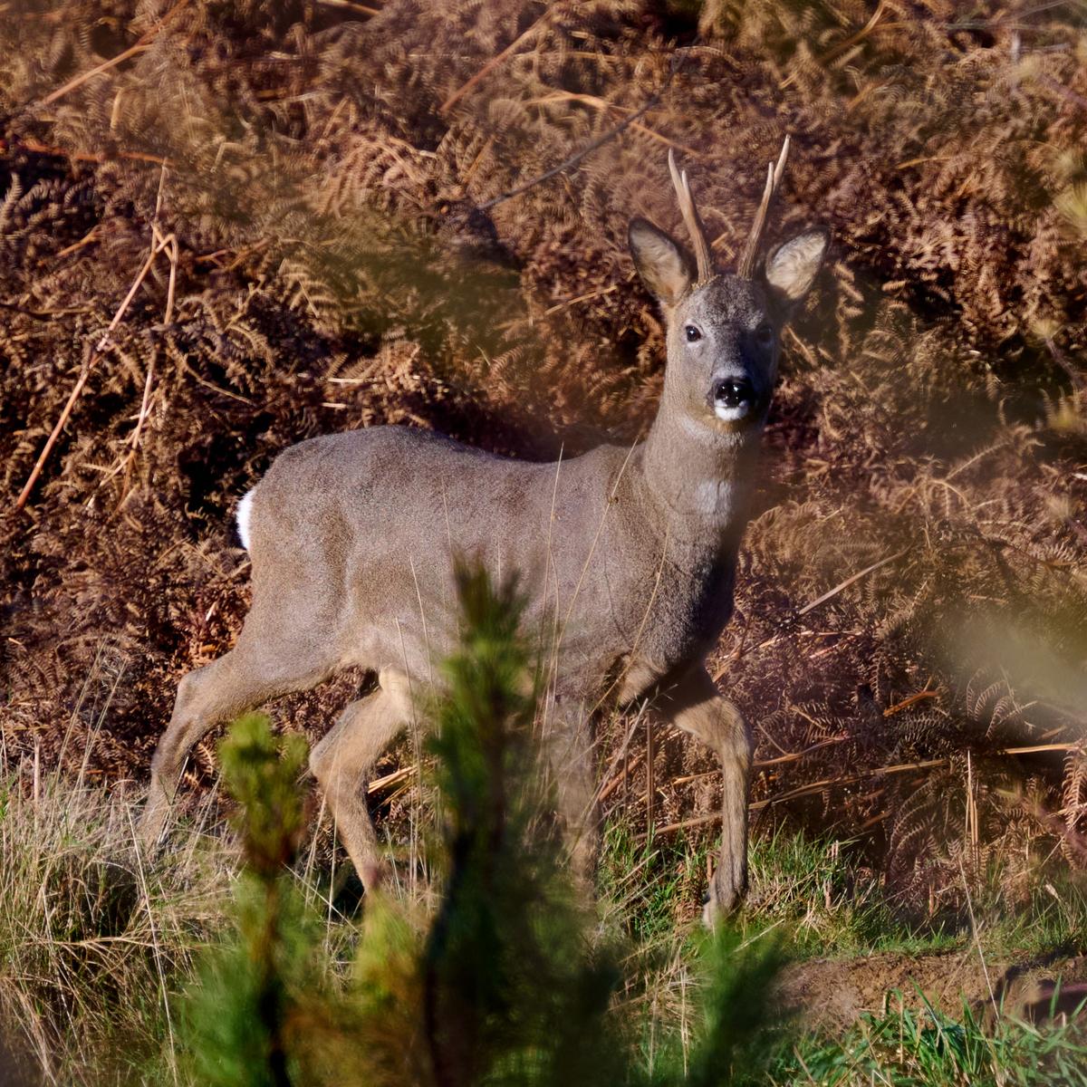 DSC_9720.jpg