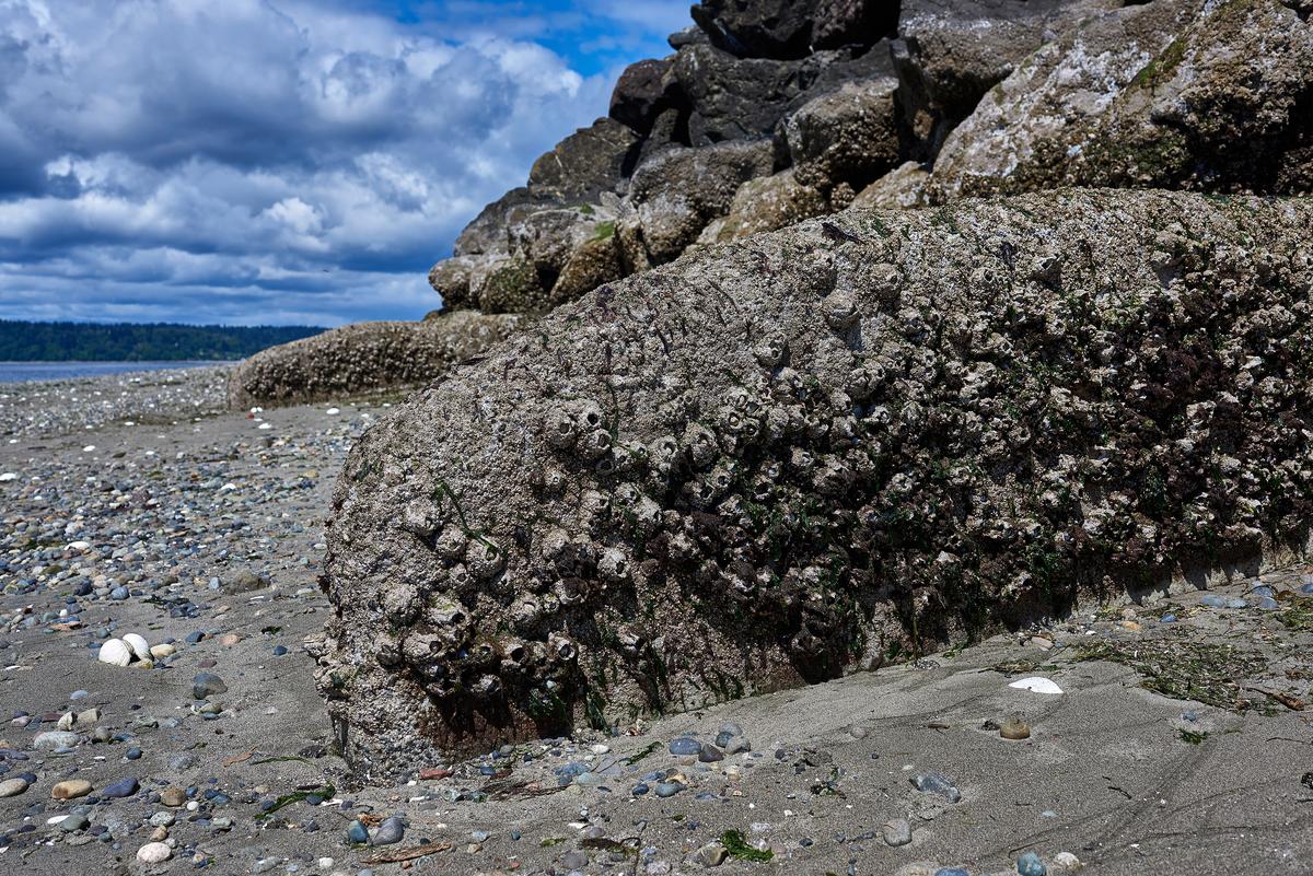 08-walk-around-the-point-small.jpg