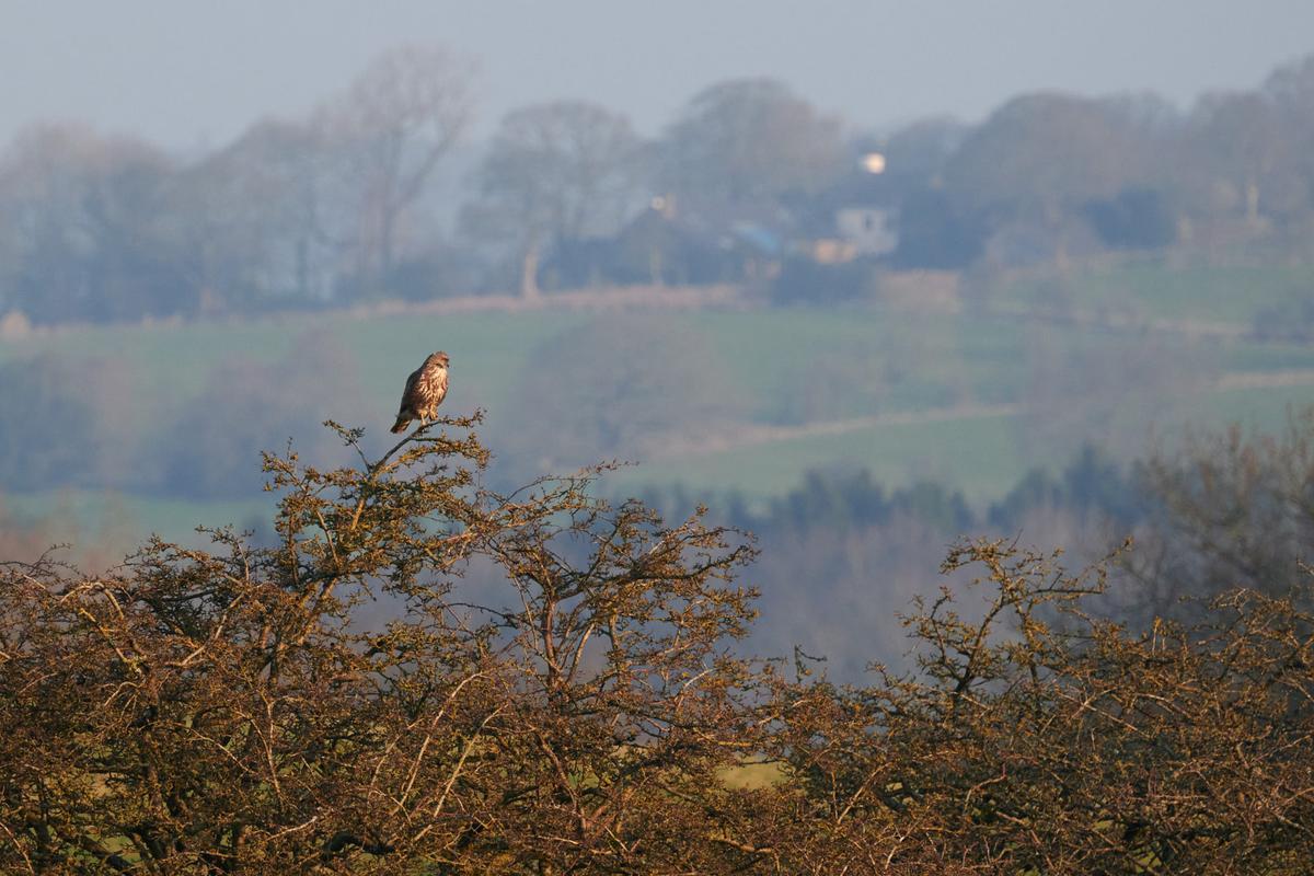 DSC_2842.jpg