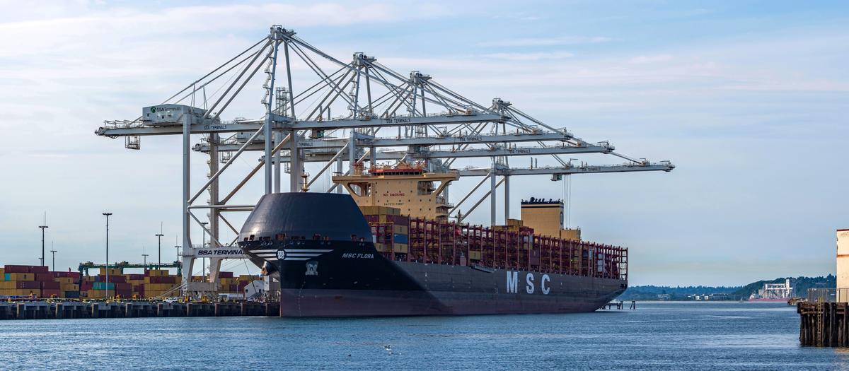 msc-flora-small2.jpg
