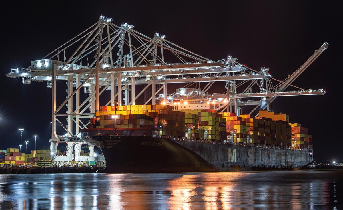 MSC-ruby-T5.jpg