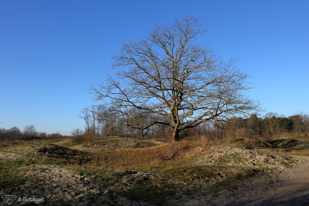 62B_6881.jpg