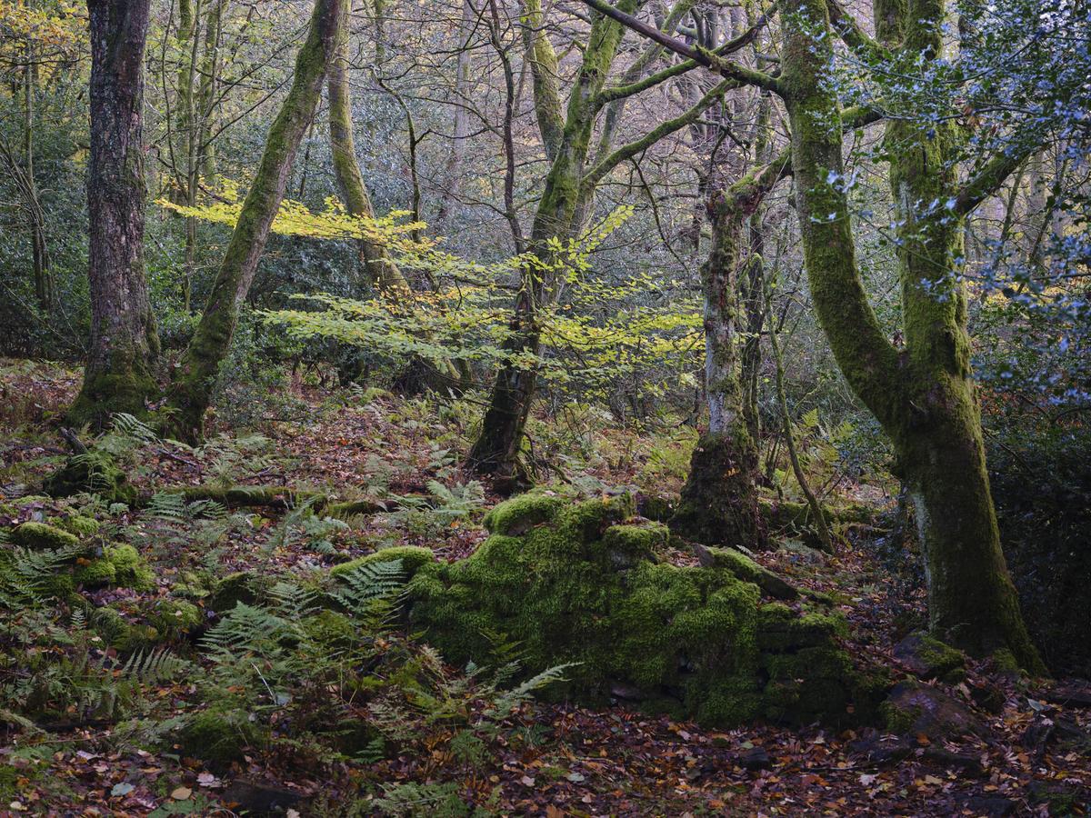 DSCF3611.jpg