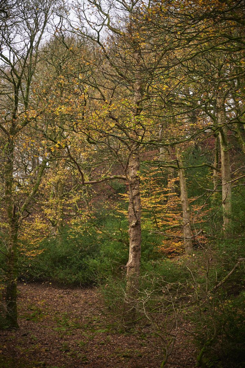 DSC_8964.jpg