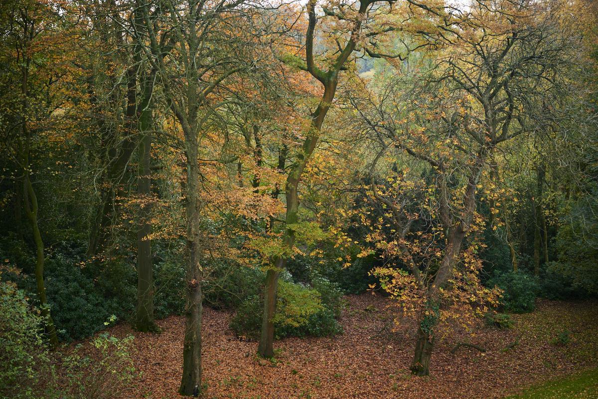 DSC_8881.jpg