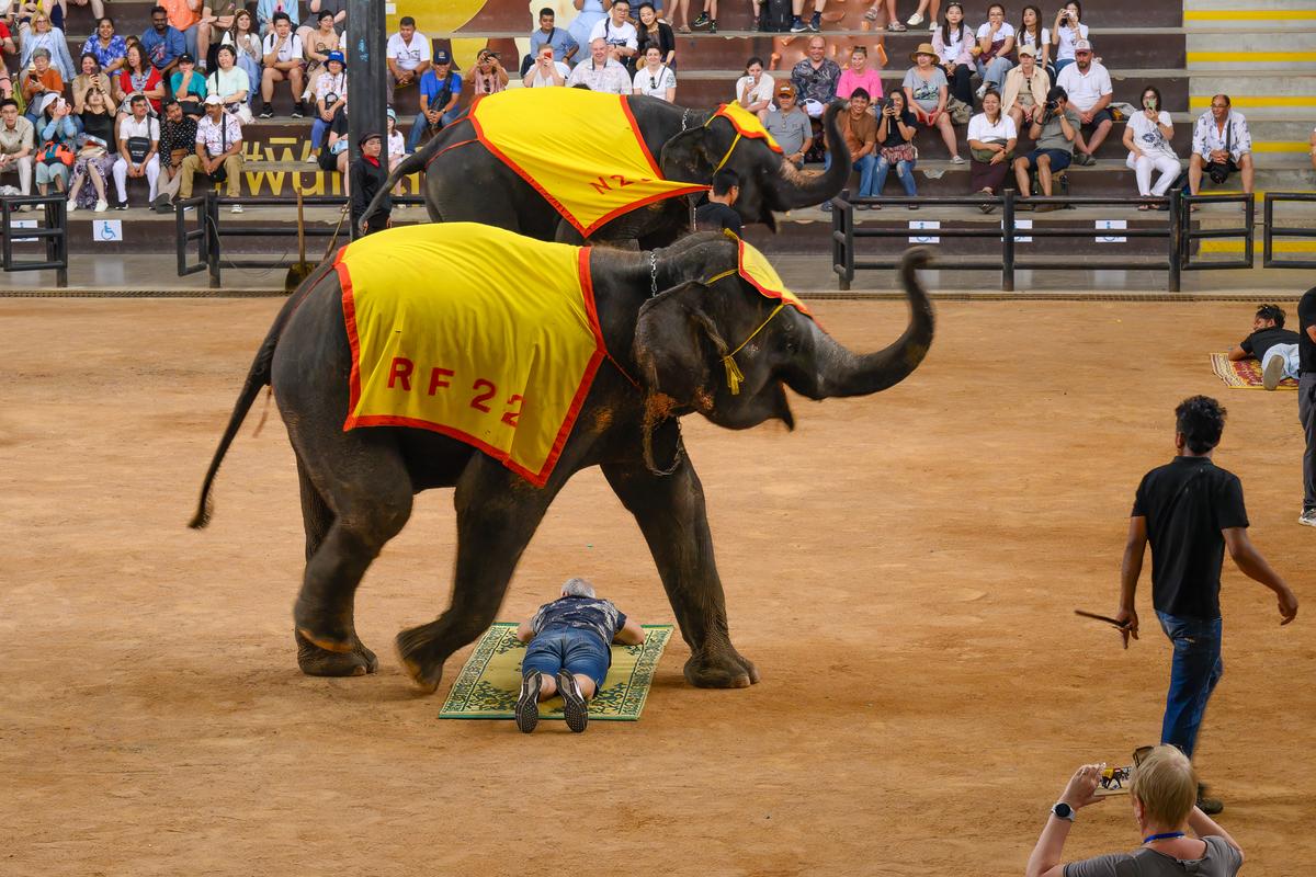 Thailand-216.jpg