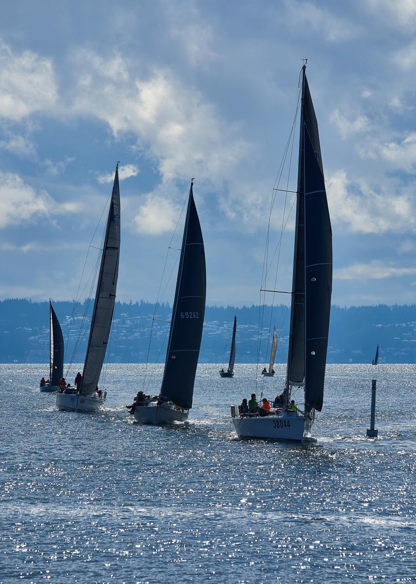 sailboat-south-small.jpg