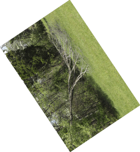 img-2695.png