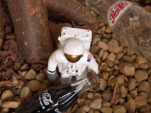 IMGP9383astronautcokepepsibottlesweb2.jpg