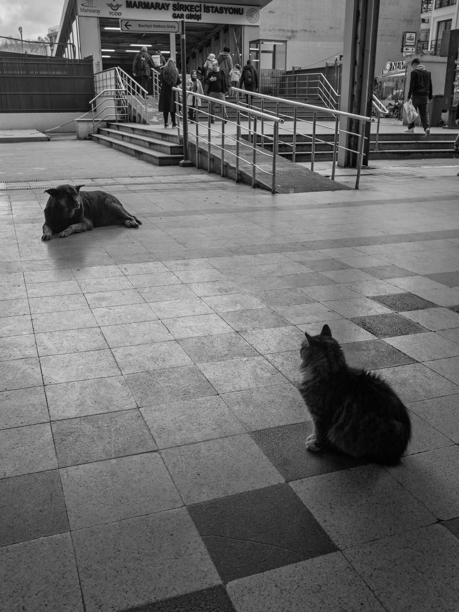 L1091508.jpg
