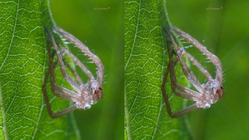 Exoskeleton SBS.jpg