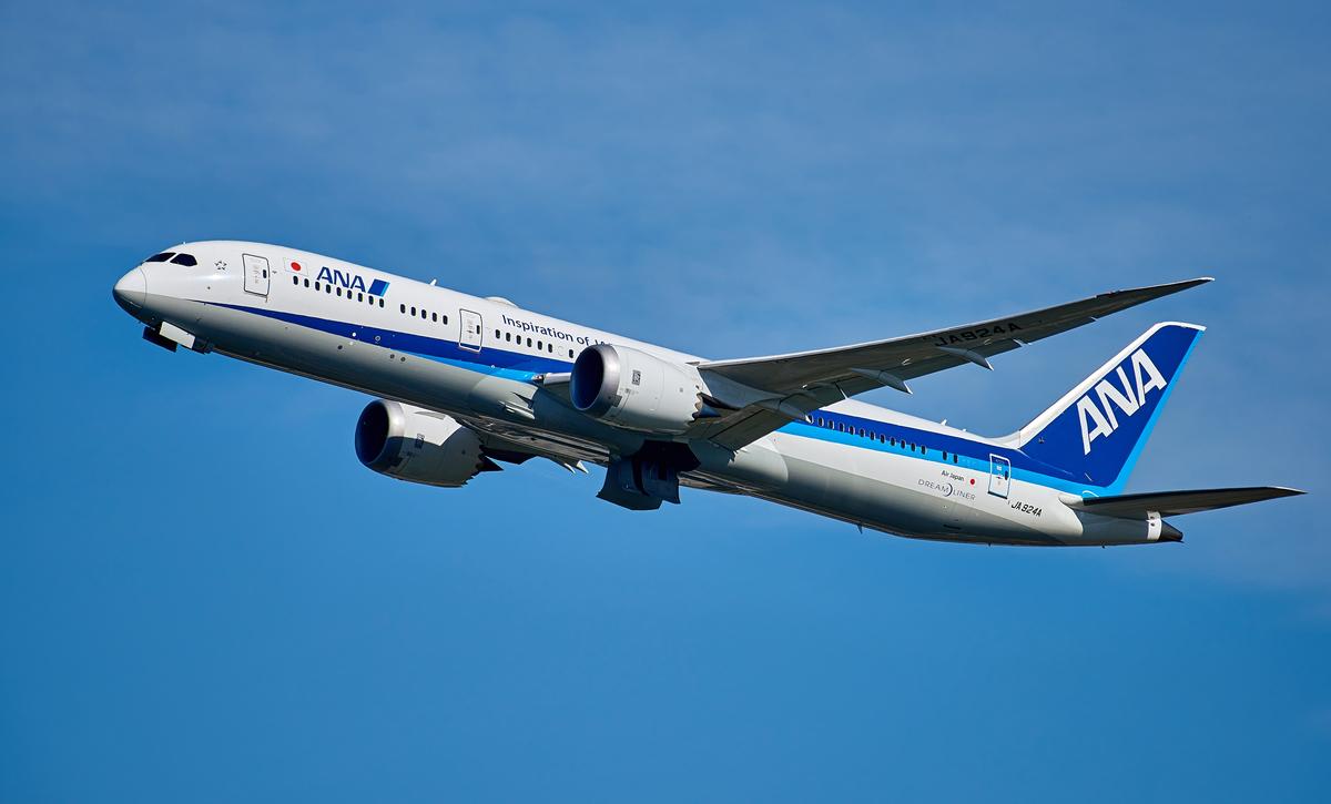 ANA-787-small.jpg