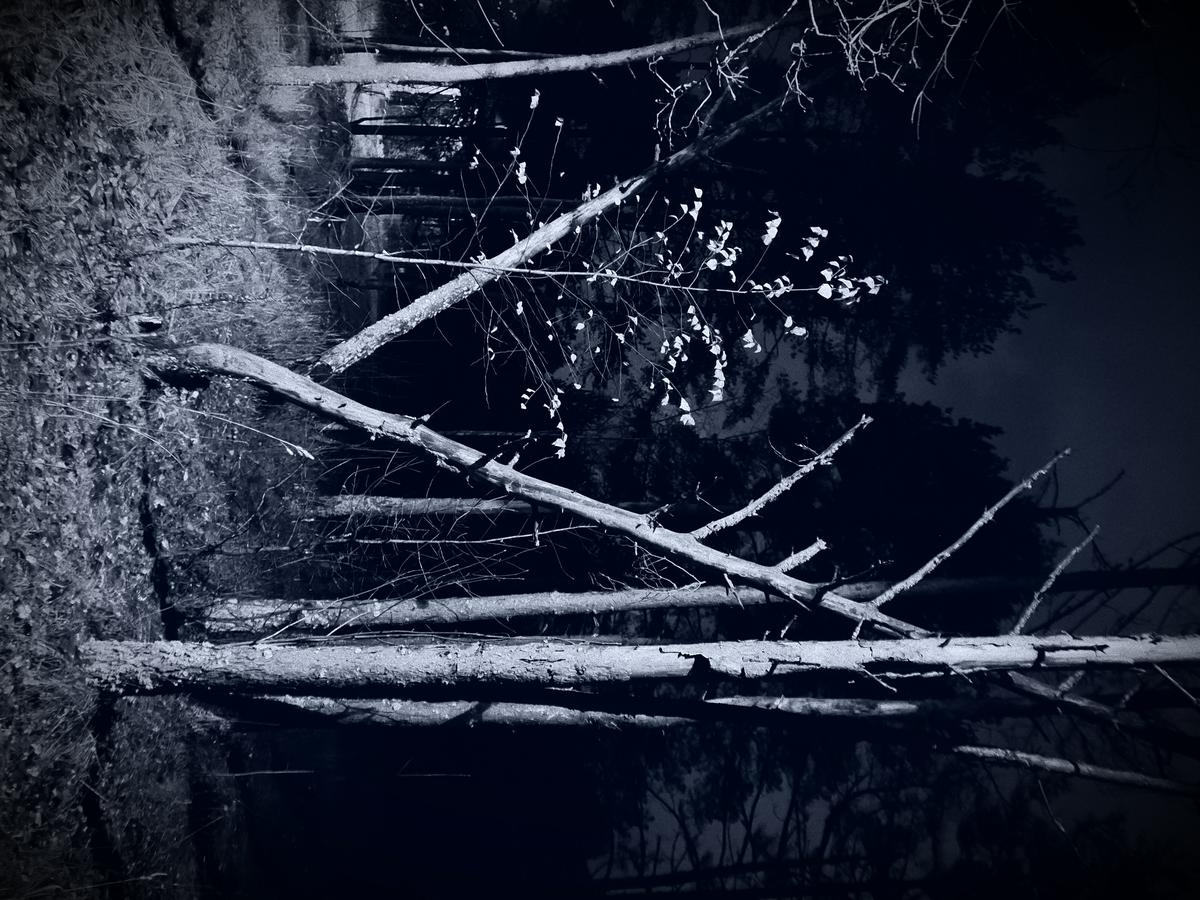 PB170041.JPG