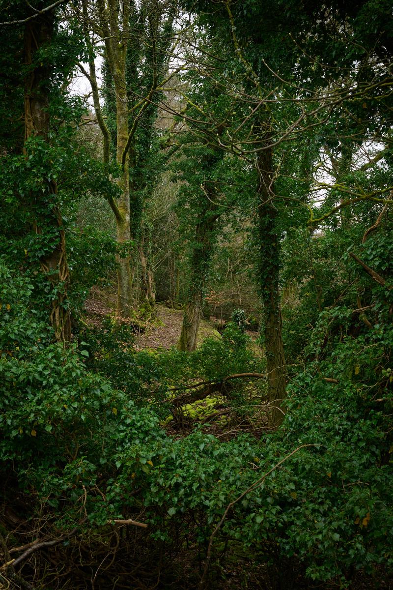 DSC_4389.jpg