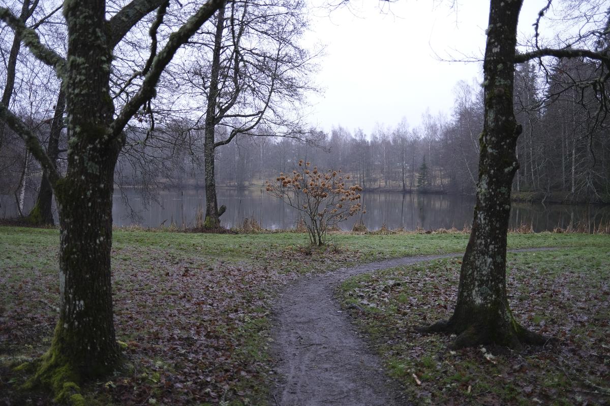 _DSF1493.JPG
