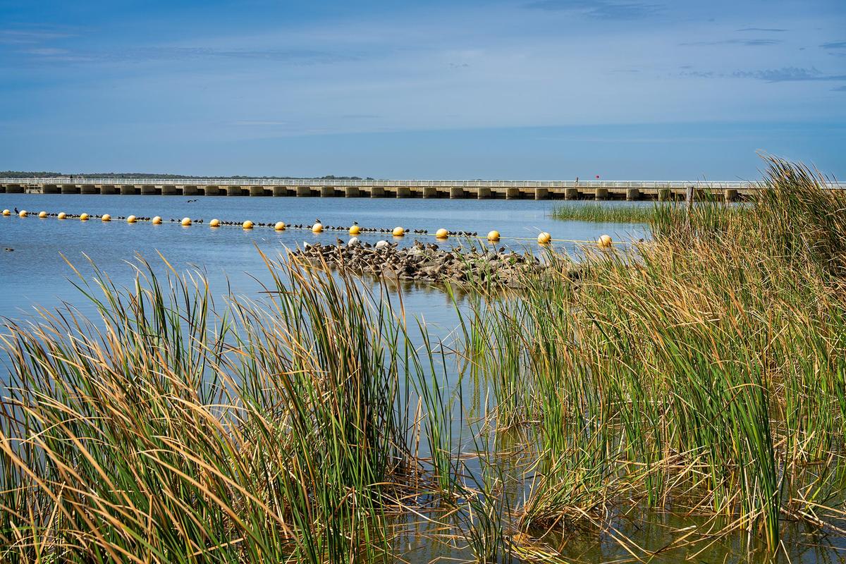 _7RV5233_Goolwa_Barrage.jpg
