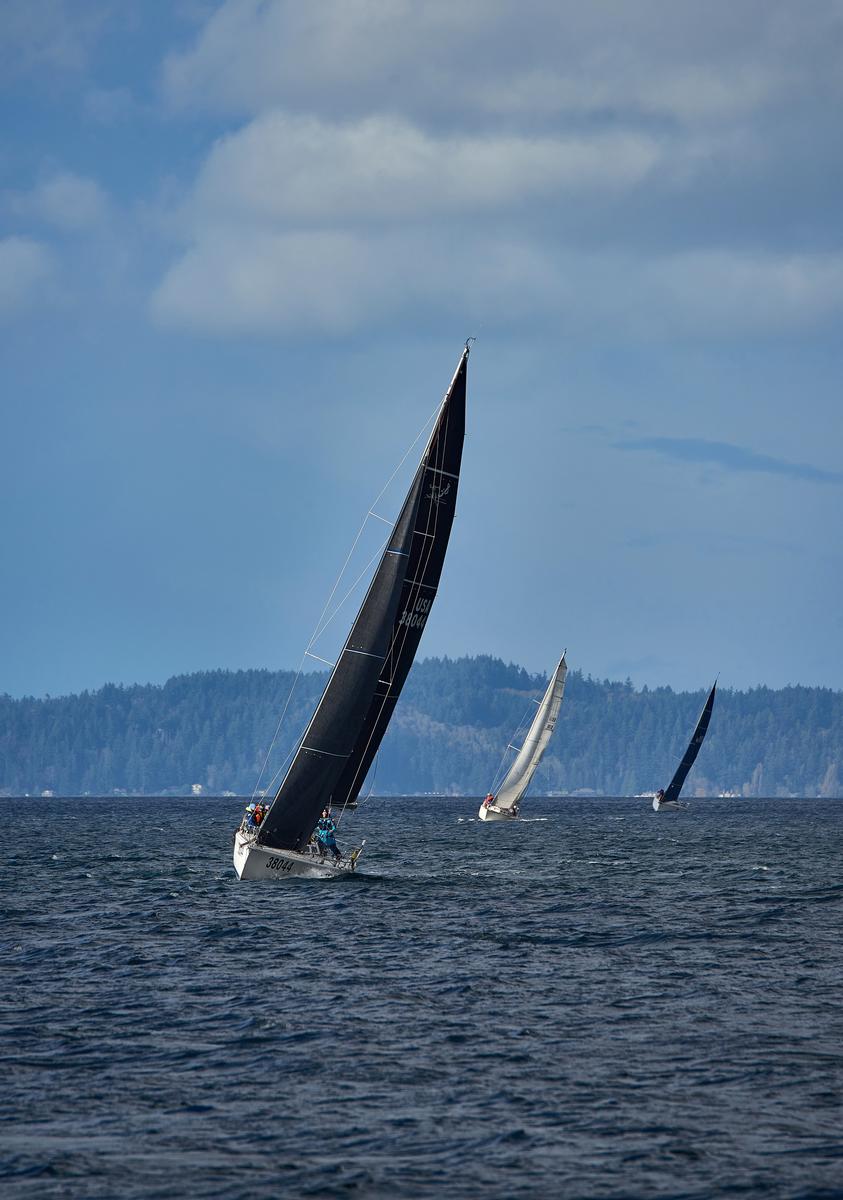 sailboats-05-small.jpg