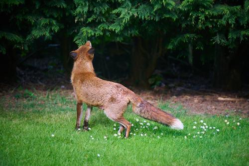 DSC_2154.jpg